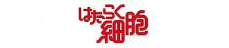 公式ウェブサイト